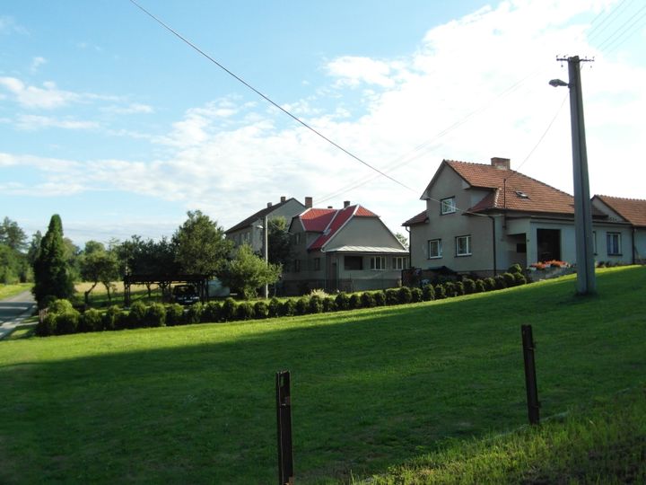 08.jpg