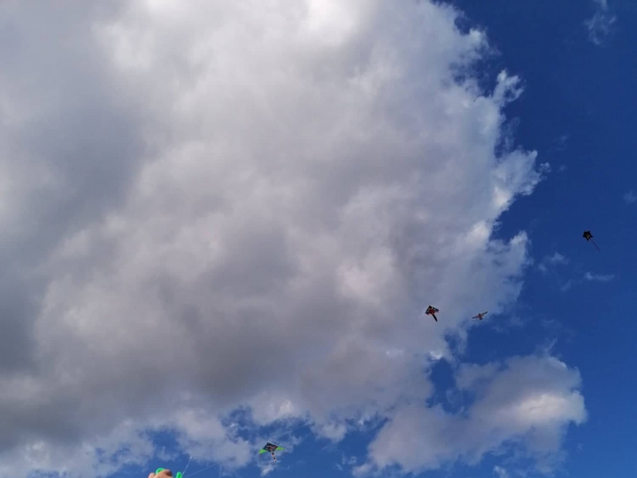126283369_224876162315307_3714418093623643358_n.jpg