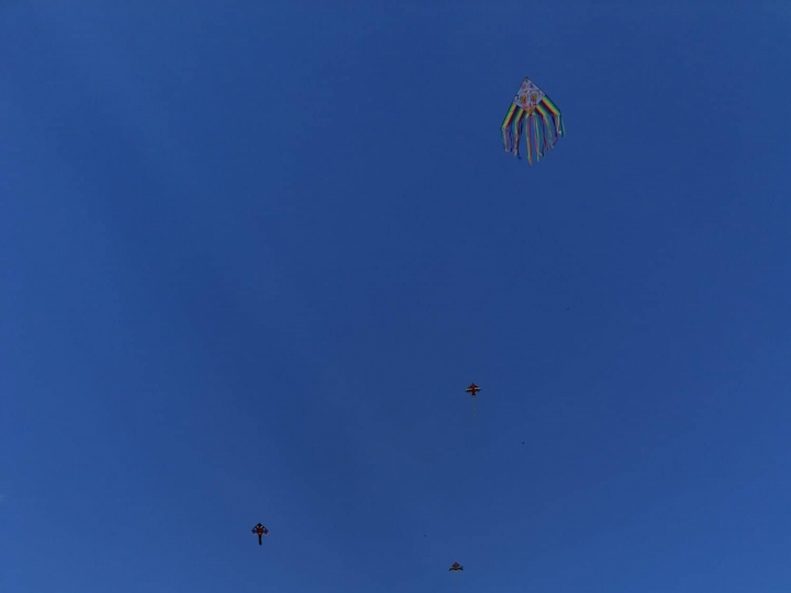 126484844_730765481187438_42431438148777279_n.jpg