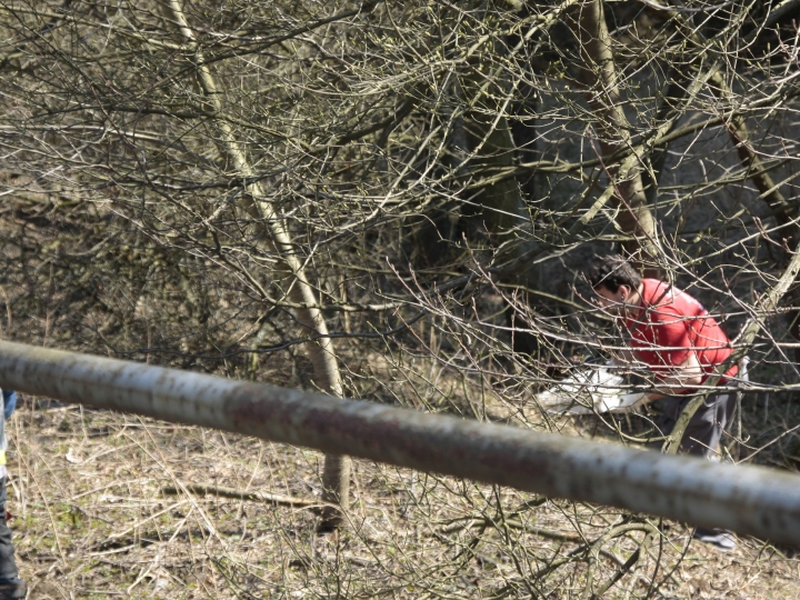 _MG_0006.JPG
