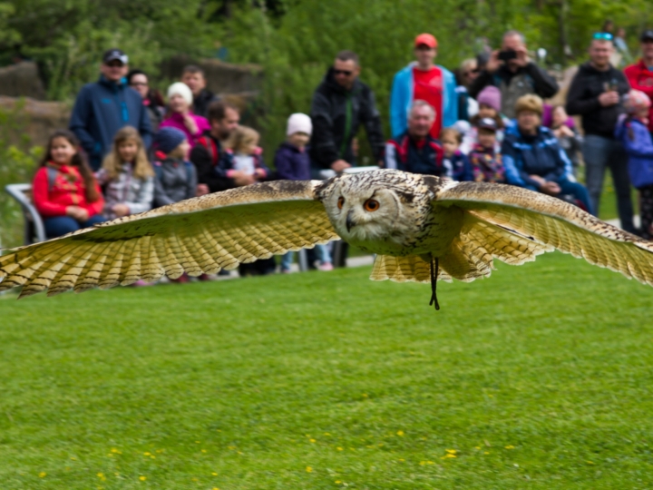 IMG_7445-2.jpg